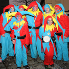 Fasching Fu__ach 15_01_2012 558_jpg-1326667405