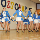 Fasching Fu__ach 15_01_2012 568_jpg-1326667455