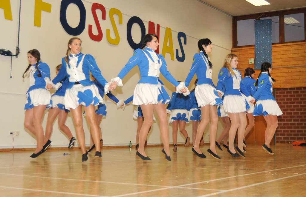 Fasching Fu__ach 15_01_2012 568_jpg-1326667455