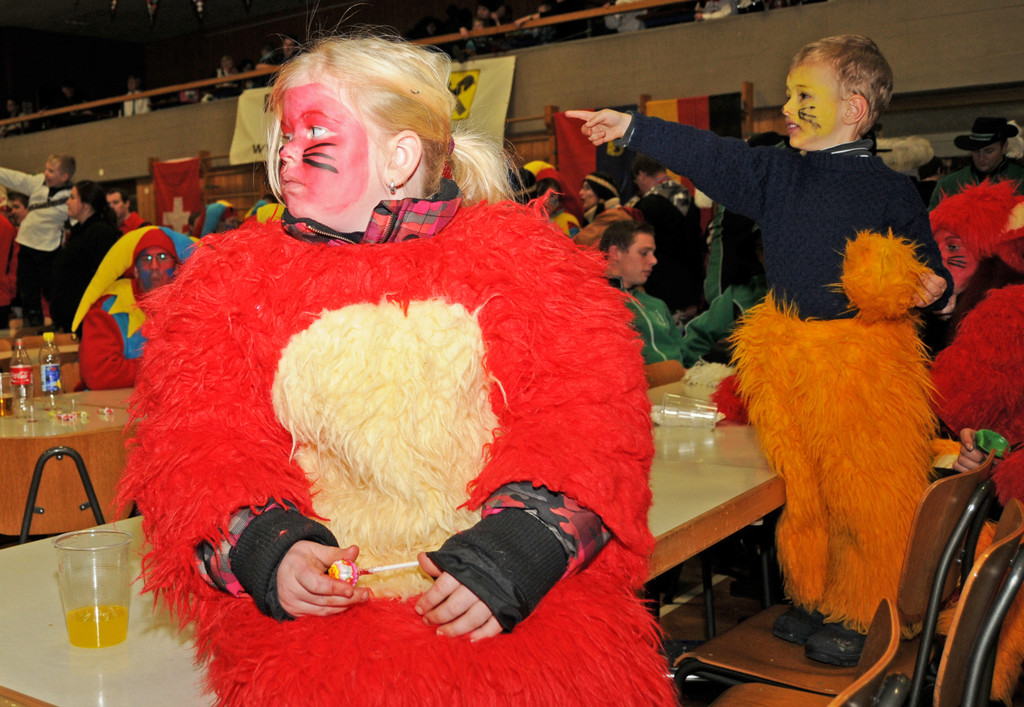 Fasching Fu__ach 15_01_2012 585_jpg-1326667507