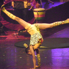 113_5937_JPG-1326668257