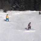 15012012393_jpg-1326697473