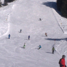 15012012394_jpg-1326697476