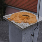 Junge Vandalen in Baden