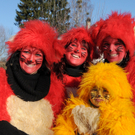 Fasching Fu__ach 15_01_2012 2_jpg-1326706281.jpg