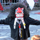 Fasching Fu__ach 15_01_2012 164_jpg-1326706410.jpg