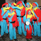 Fasching Fu__ach 15_01_2012 558_jpg-1326706490.jpg