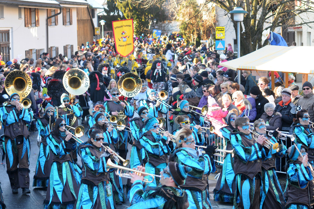 Fasching Fu__ach 15_01_2012 151_jpg-1326709058