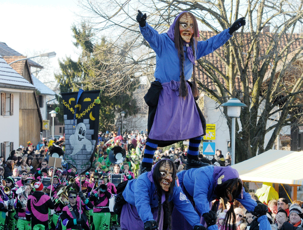 Fasching Fu__ach 15_01_2012 73_jpg-1326709146