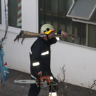 IMG_5585.JPG