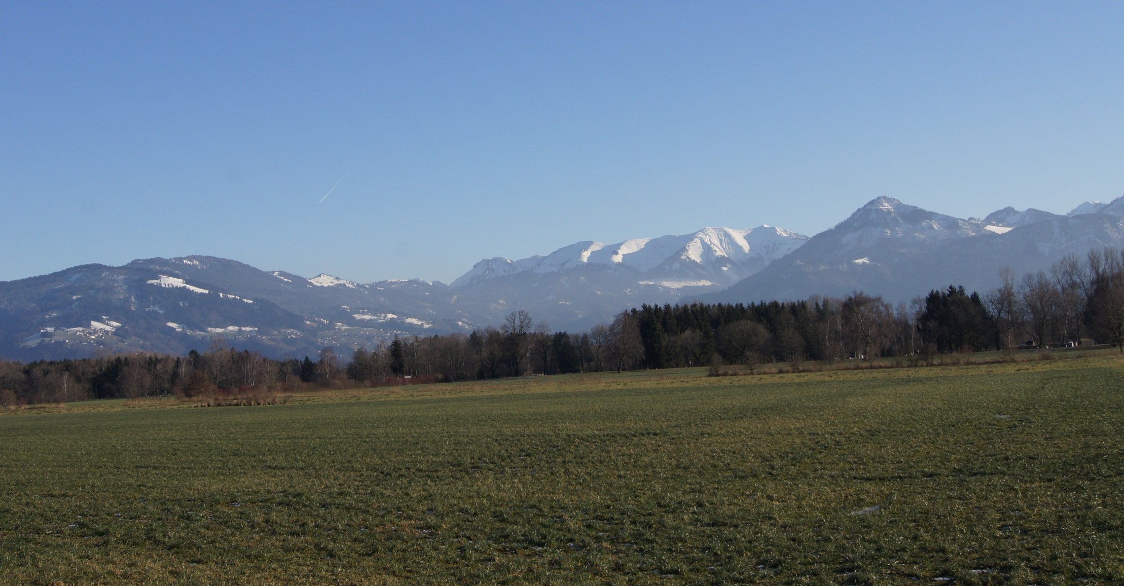 DSC07884.JPG