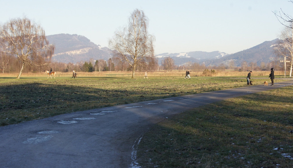DSC07898.JPG
