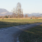 DSC07898.JPG