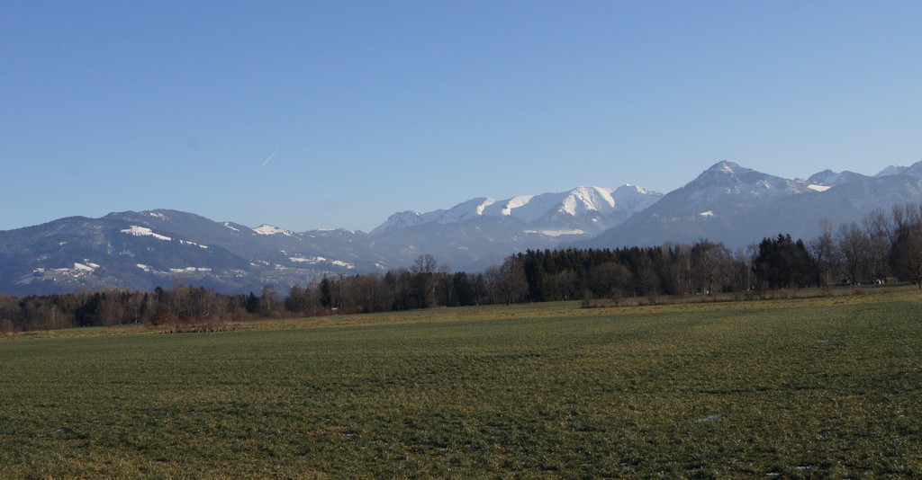 DSC07884.JPG