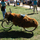 82858179_rmfNPZpO.jpg