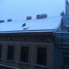 Foto 3.JPG