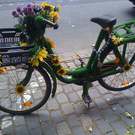 fahrradb.jpg