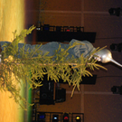 DSC02598_JPG-1326800375