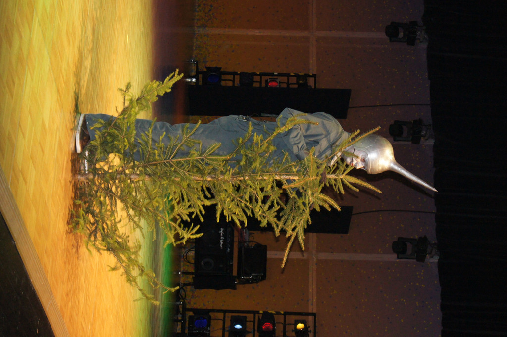 DSC02598_JPG-1326800375