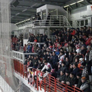 Neues Bild _5__jpg-1326804174