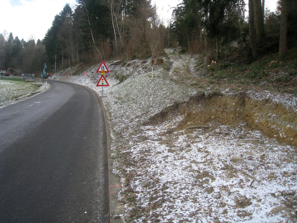 Gehsteig Eichenberger Stra__e Fortschritt 17-01-2012 _1__jpg-1326806072