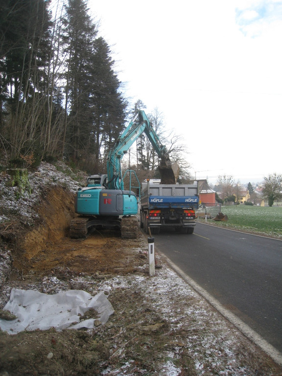 Gehsteig Eichenberger Stra__e Fortschritt 17-01-2012 _21__jpg-1326806170