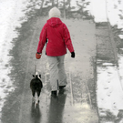 file636ho43i6zpt32iig2m.jpg