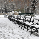 file636ii5hy9f5mx75uofc.jpg