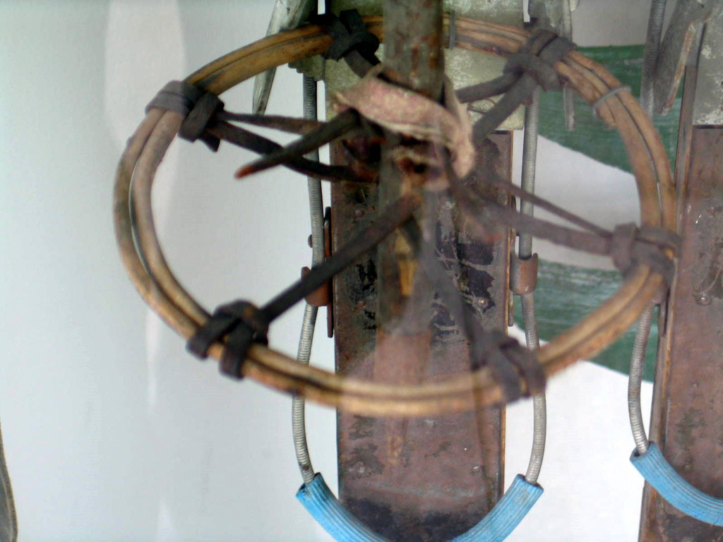 IMG_1333_JPG-1326840084