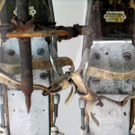 IMG_1334_JPG-1326840087