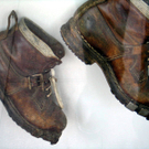 IMG_1337_JPG-1326840094