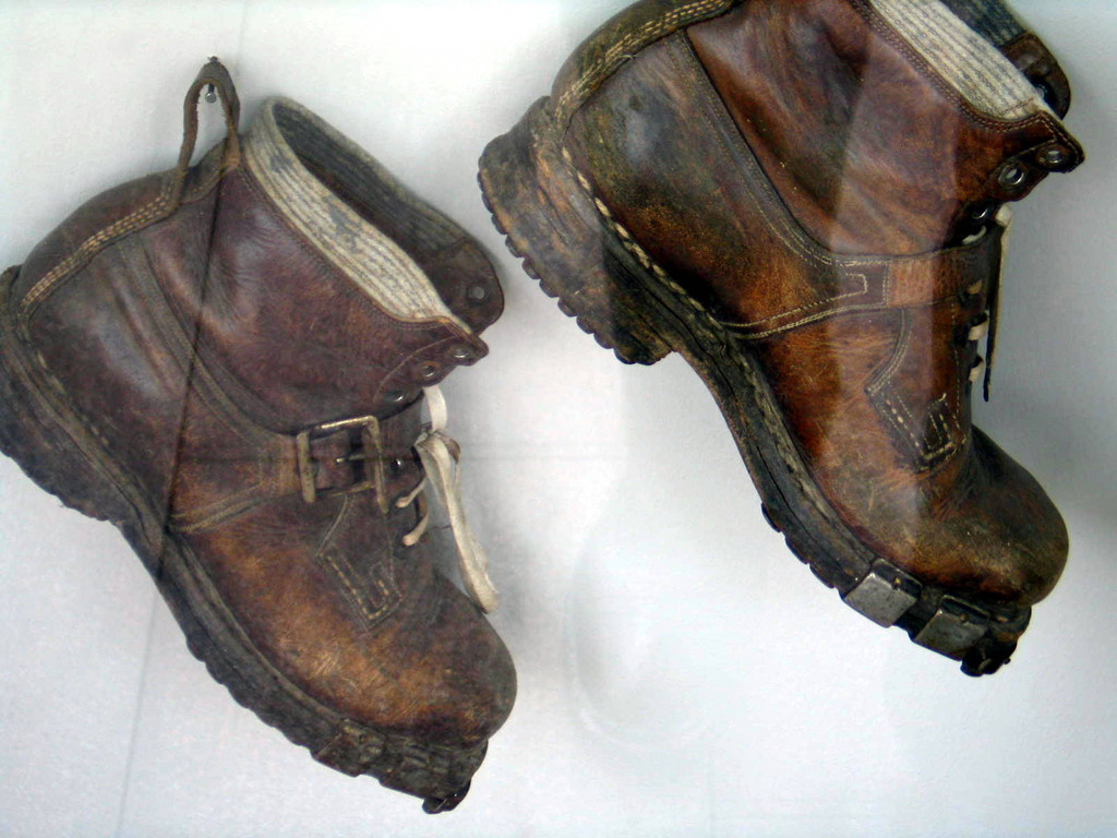 IMG_1337_JPG-1326840094