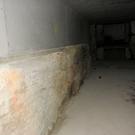 113_6410_JPG-1326842222