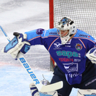 Capitals vs SAPA Fehervar 17.1.2012