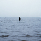 Antony Gormley\'s Kunst