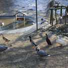 IMG_5574.JPG