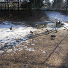 IMG_5575.JPG