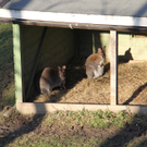 IMG_5579.JPG