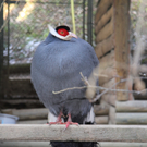 IMG_5547.JPG
