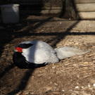 IMG_5543.JPG