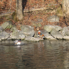 IMG_5516.JPG