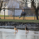 IMG_5669.JPG