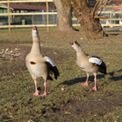 IMG_5672.JPG