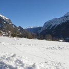 DSC_1427.jpg