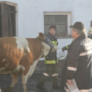 normal_18012012brandlandwirtschaftde01001aktivnes_052.jpg