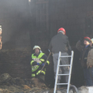 normal_18012012brandlandwirtschaftde01001aktivnes_059.jpg