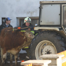 normal_18012012brandlandwirtschaftde01001aktivnes_066.jpg