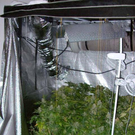 19_01_2012 LKA N__ EB Suchtgift 2.jpg