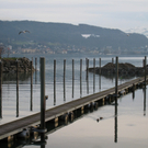 Hafenumbau Westmolo neu 28-12-2009 _20_.jpg
