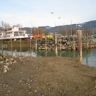 Hafenumbau Westmolo neu 28-12-2009 _23_.jpg